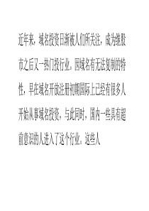 用域名撰写财富的神话 国内域名投资名人榜