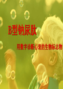 B型钠尿肽 PPT课件