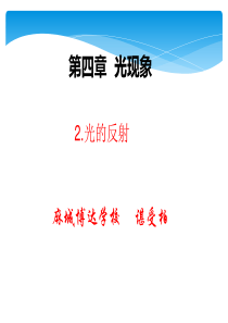 第2节 光的反射