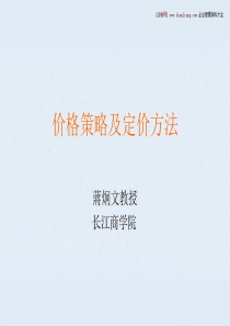 价格策略及定价方法