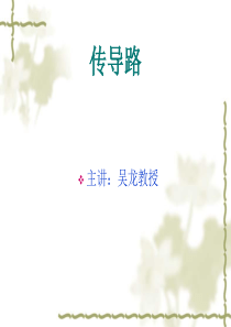 4神经系统的传导通路