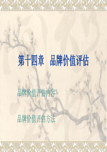 第14章品牌价值评估.