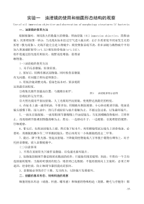 油浸镜的使用和细菌形态结构的观察