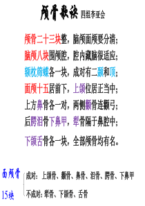 脑部CT;肺部CT结节影