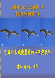 巴尔沙木飞机制作的方法与技巧