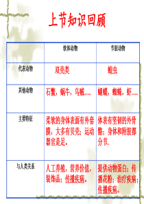 《鱼》ppt课件