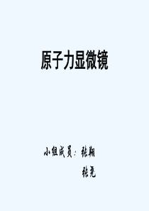 afm原子力显微镜原理