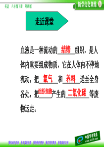 七年级生物下册 物质运输的器官课件 济南版