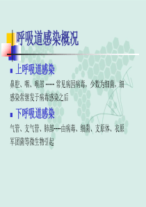 10呼吸道九联检(简单)
