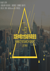2017年沈阳中粮大悦城市调报告