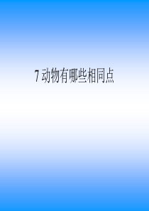 2.7《动物有哪些共同特点》课件