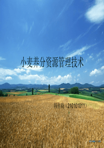 小麦养分资源管理技术