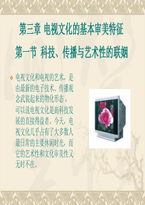 5电视文化的基本审美特征