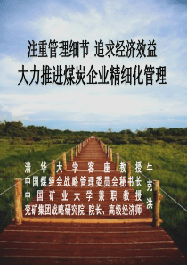煤炭企业精细化管理