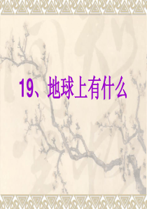 地球上有什么