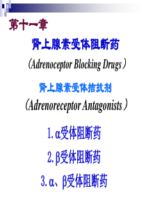 11肾阻断药