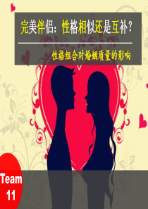 11组：完美伴侣：性格相似还是互补？全部的