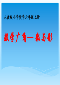 人教版小学数学六年级上册全册课件(第8单元全部)