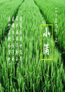 小满养生