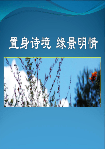 缘景明情1--古诗鉴赏情景关系及意境分析..