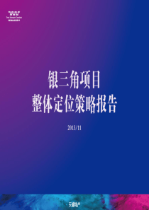赣电银三角项目整体定位策略报告(竞标稿)