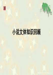 《小说文体知识复习》课件