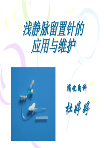 25浅静脉留置针应用及维护