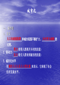 91城市化
