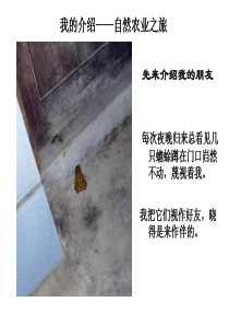 自然农业