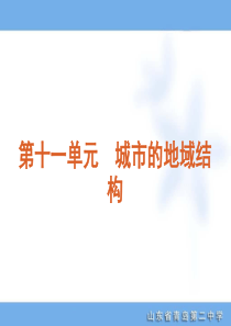 2012年高考专题复习第11单元-城市的地域结构-大纲-地理