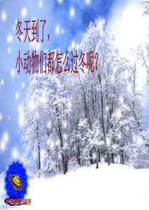 幼儿园大班语言教学课件：小老鼠过冬