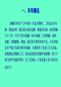 氯碱行业烧碱工艺演示