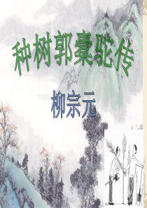 种树郭橐驼传优秀素材