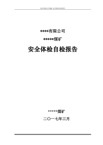 煤矿安全体检自检报告