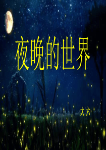 大班科学 夜晚的世界