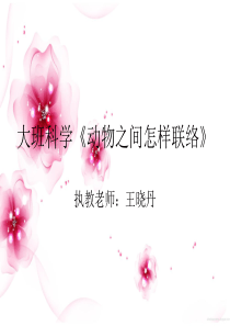 大班科学《动物之间怎样联络》