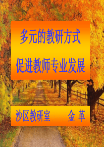 幼儿园教研方式