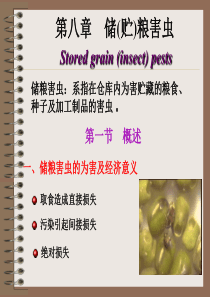 第九章 储粮害虫