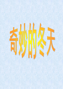 奇妙的冬天
