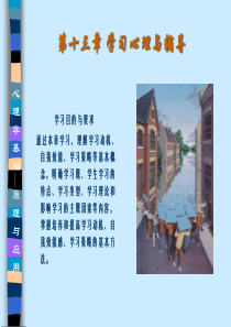 第十三章学习心理与辅导