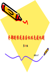 手部机械感染后免疫系统的反应