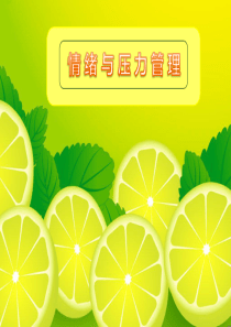 13压力与情绪管理
