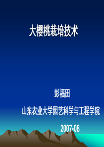 大樱桃栽培技术要点