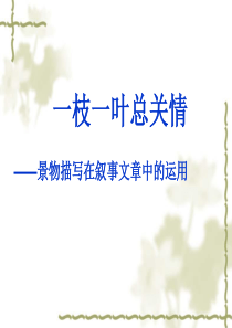 2运用景物描写,烘托人物心情