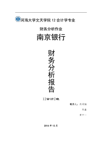 南京银行财务分析报告