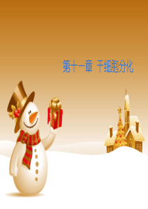 第十一章  干细胞分化