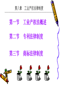 经济法工业产权法复习教案概要