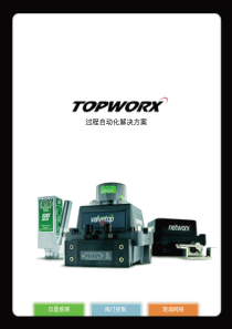 TopWorx中文总览