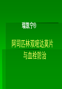 瑞凯宁宣传片(张总)