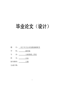 关于XX公司发展战略研究